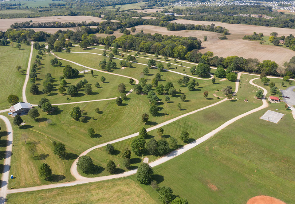 Bird's eye view of park