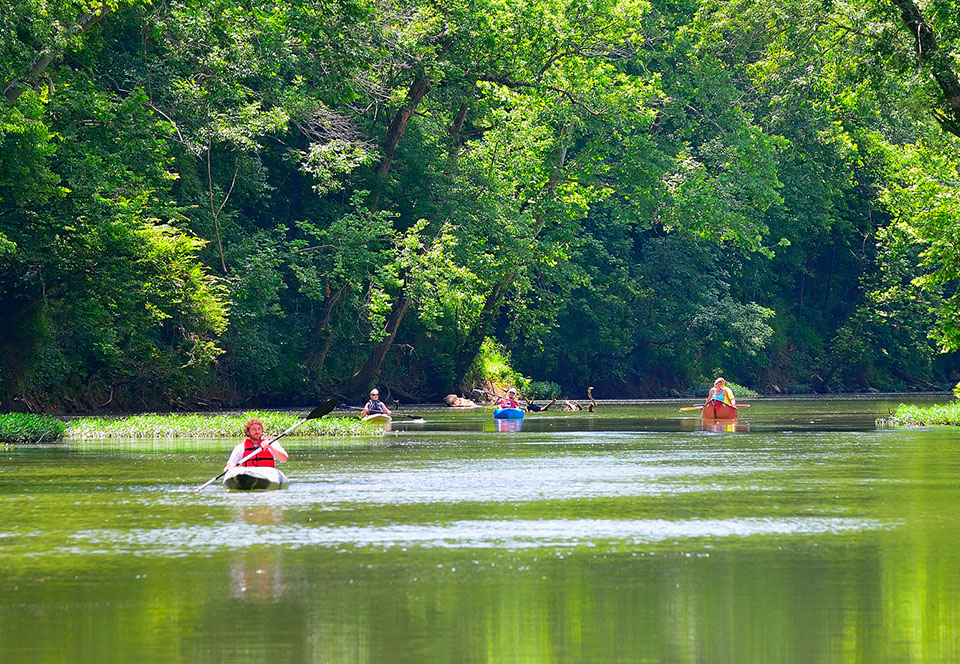 Canoe and kayaks from far away