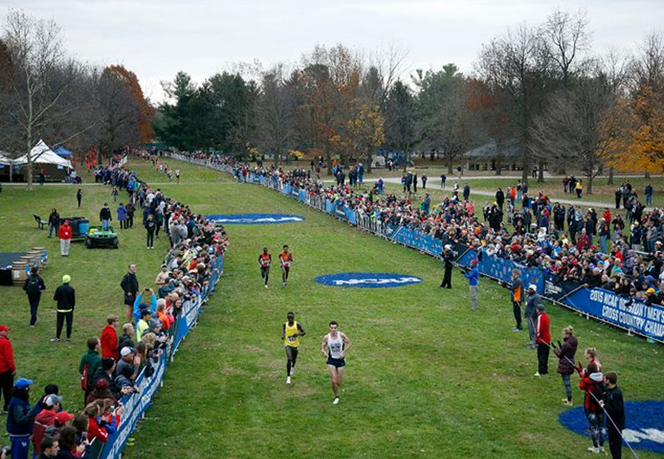 Men's cross country