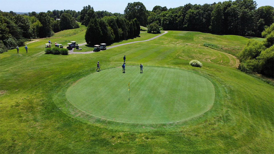 Aerial view of green